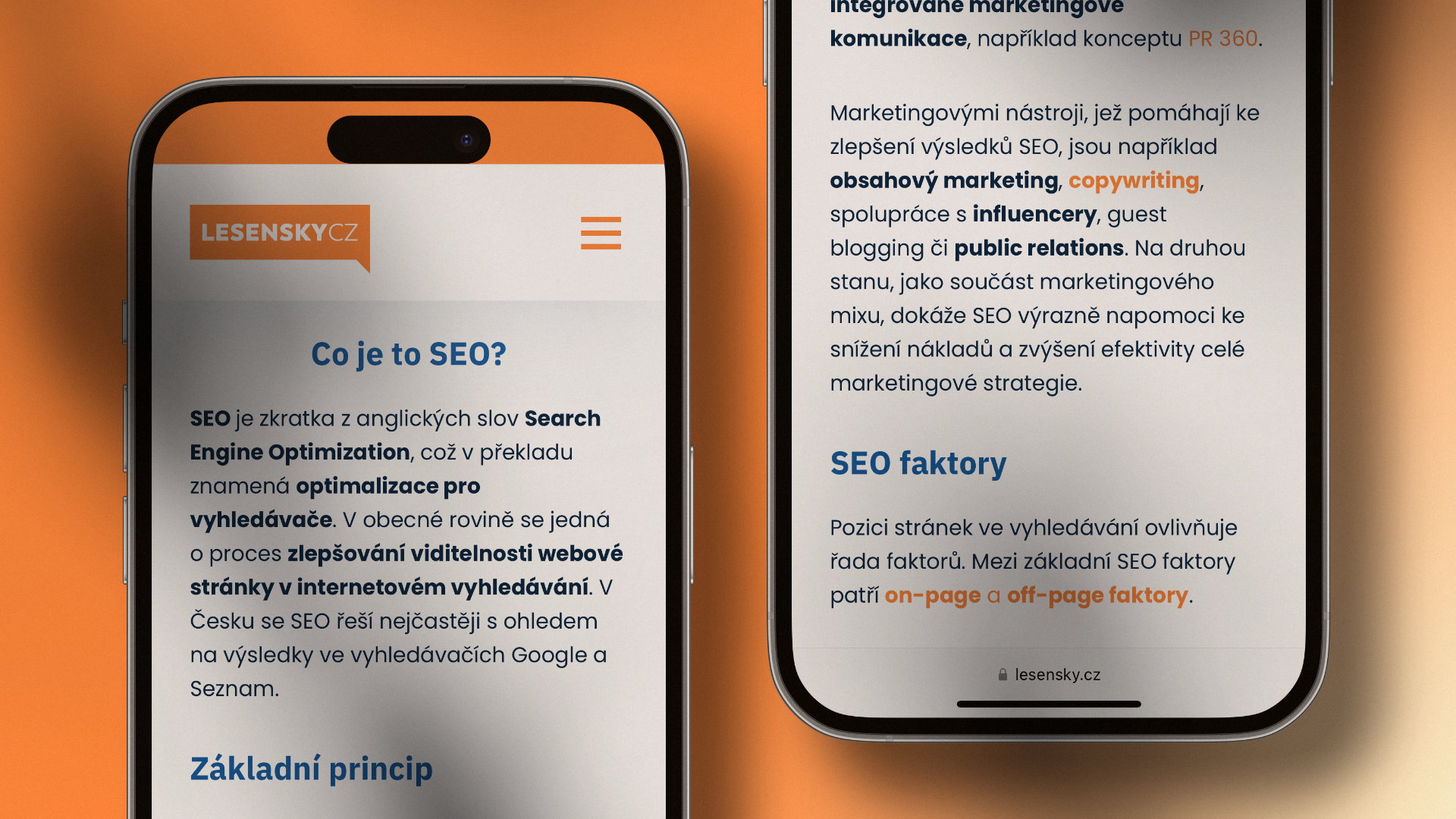 Ukázka marketingového slovníku od Lesensky.cz