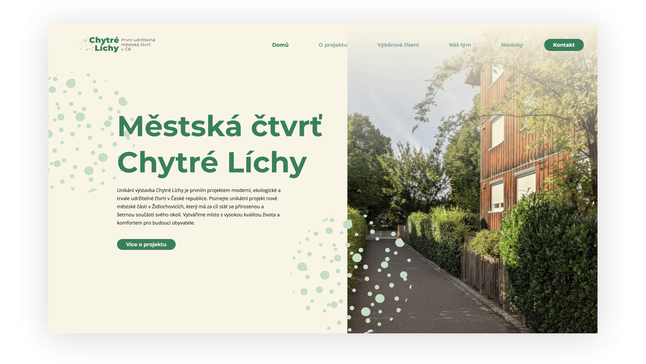 Ukázka webu Chytré Líchy