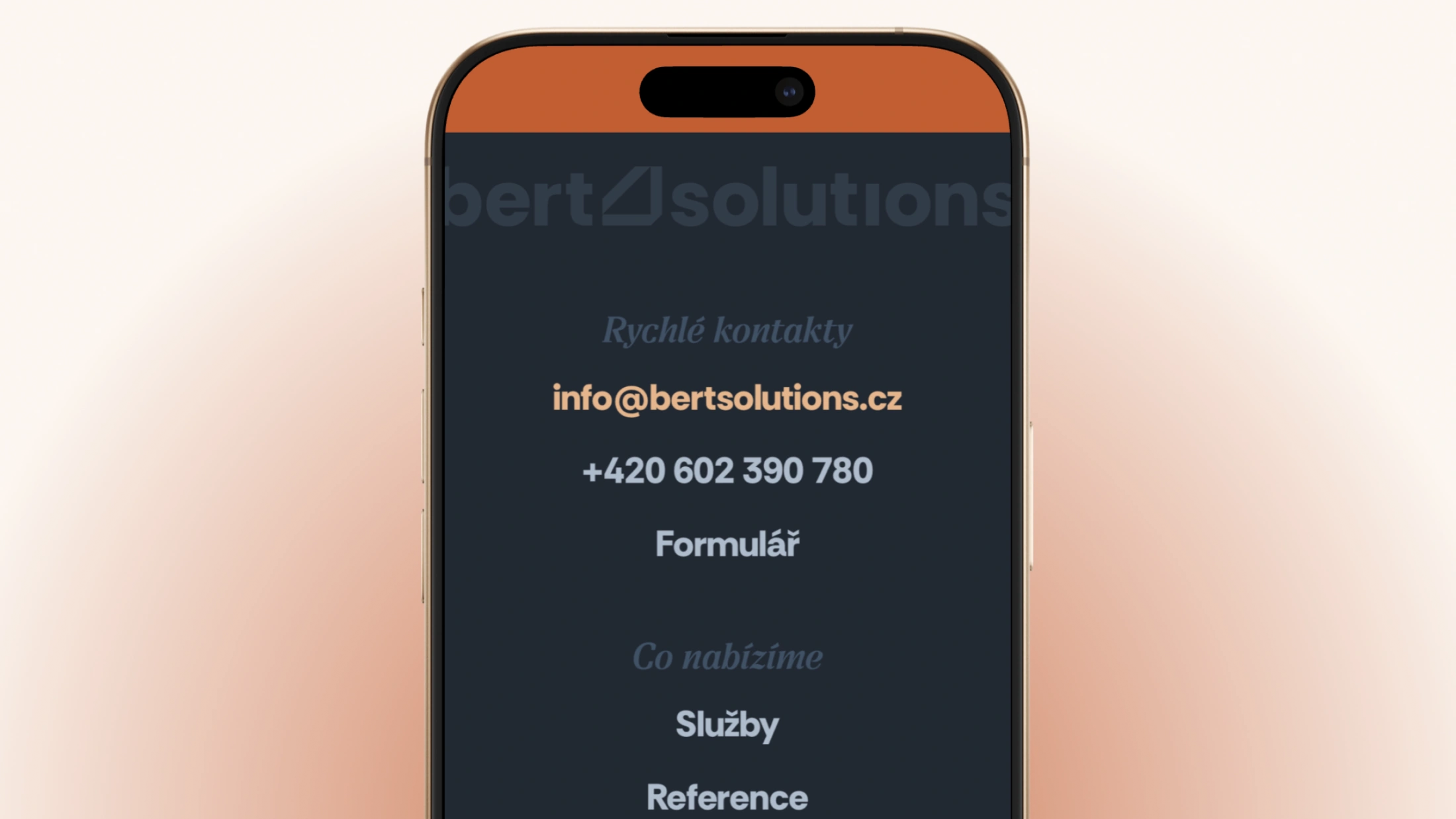 Ukázka Bert Solutions 3