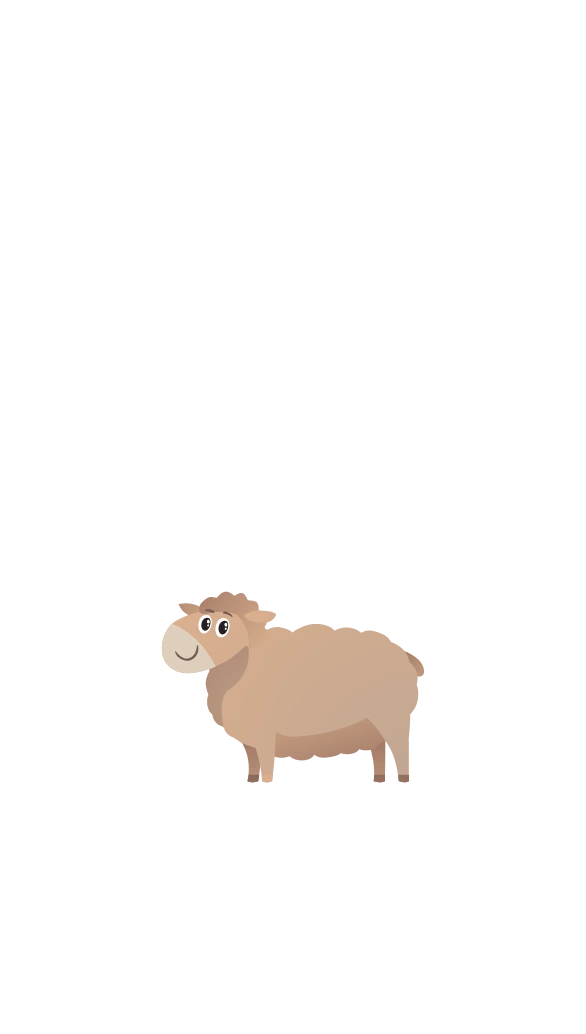 Sheep