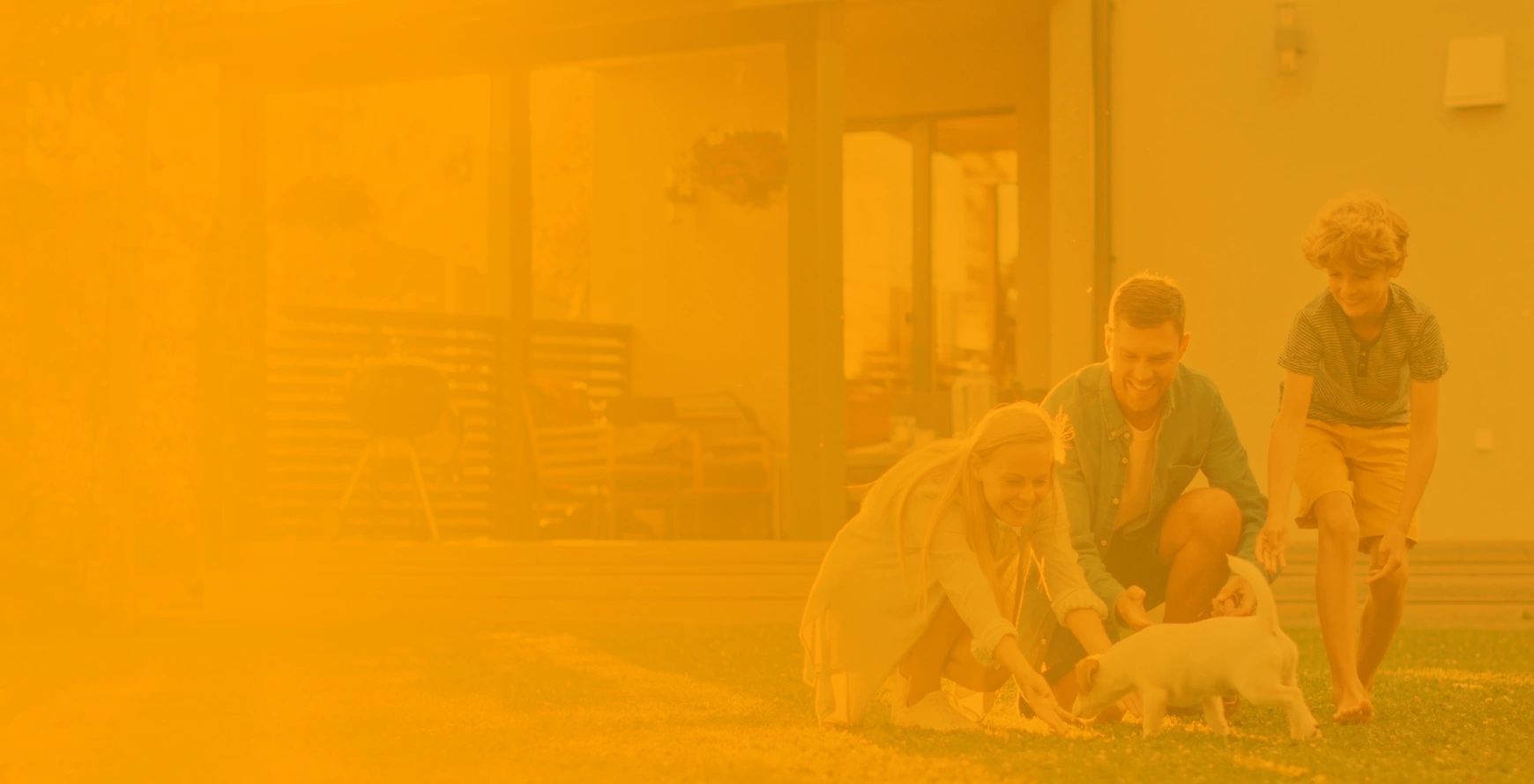 Case study of website for an insurance company by Lesensky.cz